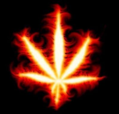 fireleaf